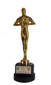 award-2-461x1024-1.png